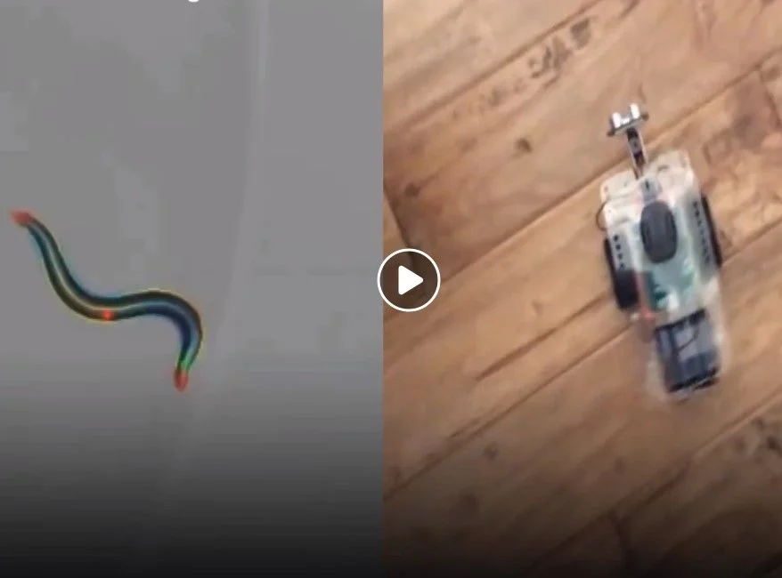 Mind of Worm Uploaded to Robot